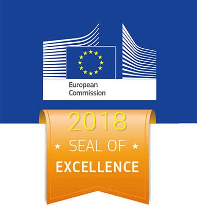 Newmanbrain Seal of Excelence 2018